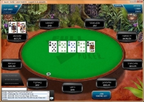 Play Online Poker